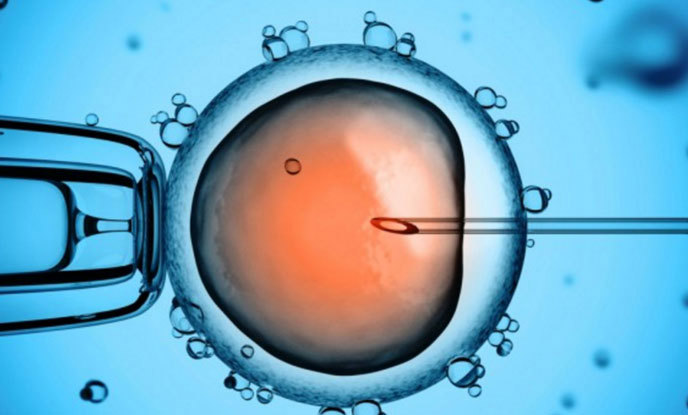 Quá Trình Làm Phương Pháp IVF Mất Bao Lâu?