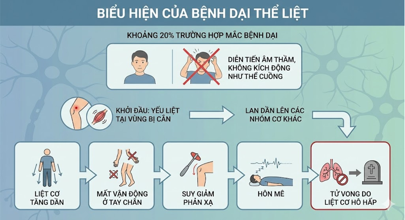 Dấu Hiệu Bệnh Dại Khi Bị Chó Mèo Cắn