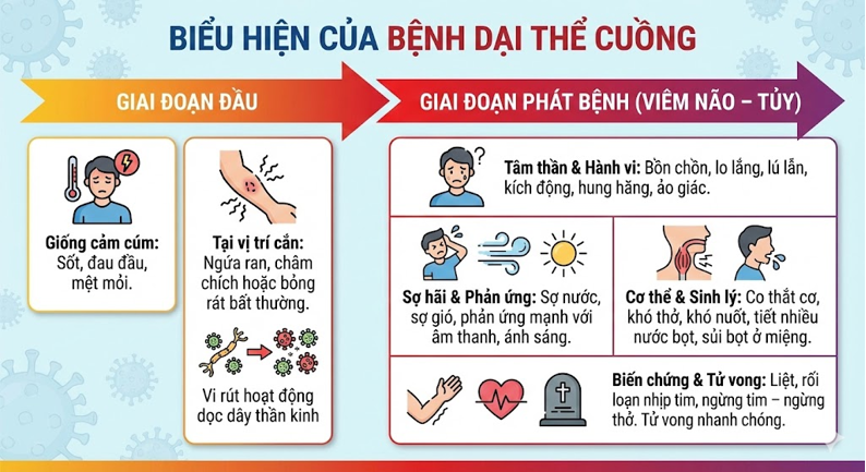 Dấu Hiệu Bệnh Dại Khi Bị Chó Mèo Cắn