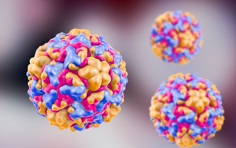 Chủng Virus Gây Tay Chân Miệng Nặng Đã Xuất Hiện Trở Lại Tại Tp.Hcm