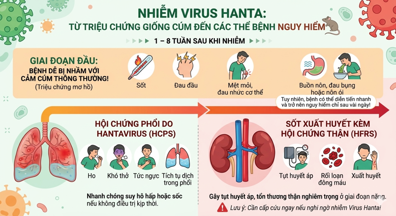 Virus Hanta Có Lây Từ Người Sang Người? Nguồn Lây Và Mức Độ Nguy Hiểm