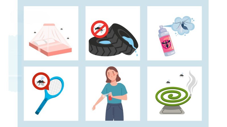 Cập nhật dịch Chikungunya – Tình hình toàn cầu và Việt Nam