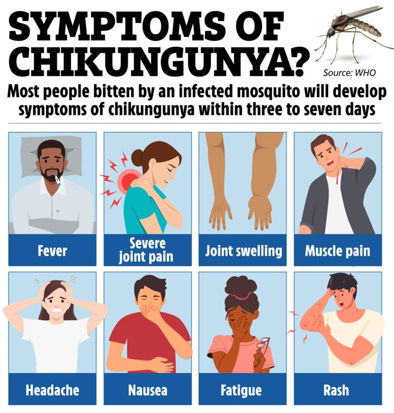 Cập nhật dịch Chikungunya – Tình hình toàn cầu và Việt Nam