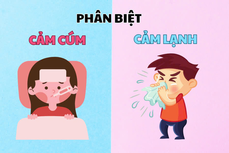 Cách phân biệt giữa cảm và cúm?