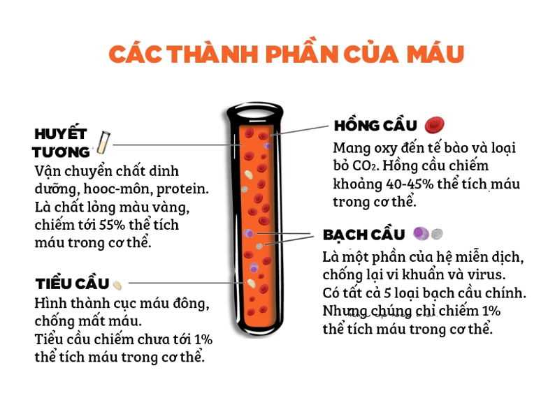 Xét nghiệm máu có mấy loại, giúp phát hiện bệnh gì?