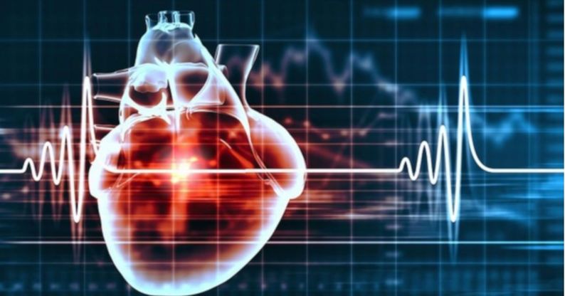Như thế nào là nhịp tim bình thường của thai nhi?