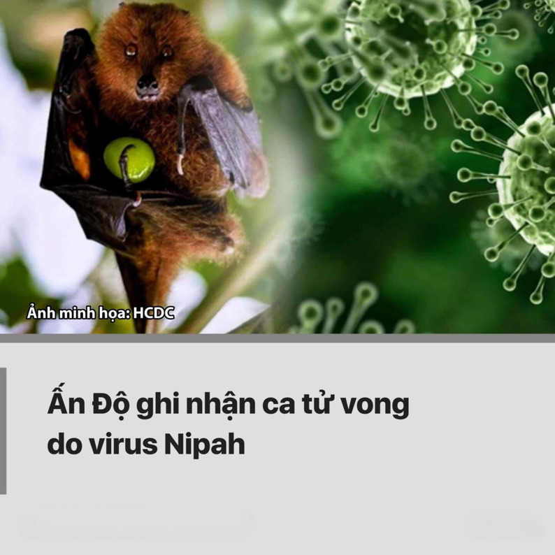 Cập nhật tình hình về virus Nipah tại bang Kerala, Ấn Độ