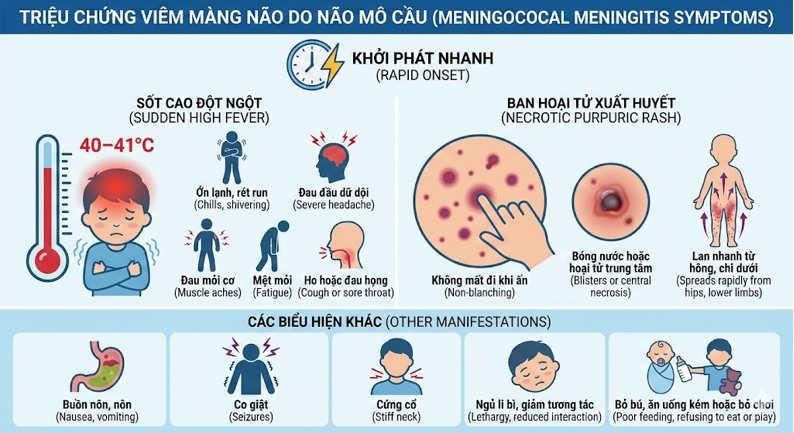 Bệnh Viêm Màng Não Do Não Mô Cầu: Nguyên Nhân, Triệu Chứng Và Cách Phòng Chống