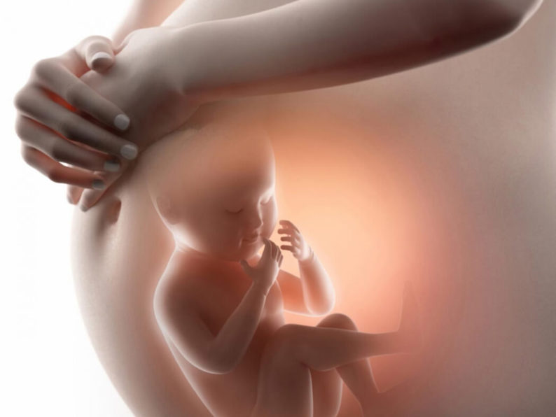 3 Giai đoạn tầm soát dị tật thai nhi các mẹ cần nhớ