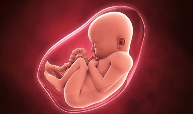 Những thay đổi của thể tích nước ối trong thai kỳ