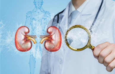 Các Bệnh Về Thận Thường Gặp: Dấu Hiệu, Nguyên Nhân và Cách Điều Trị