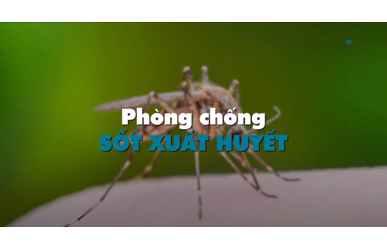 Phòng chống sốt xuất huyết