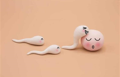 Cách tính ngày rụng trứng chính xác, dễ nhớ nhất
