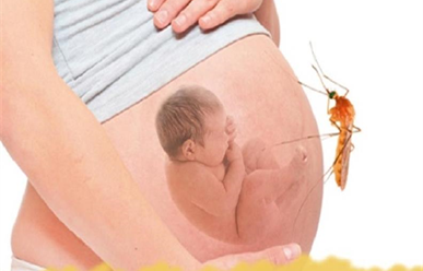 Sốt xuất huyết khi mang thai