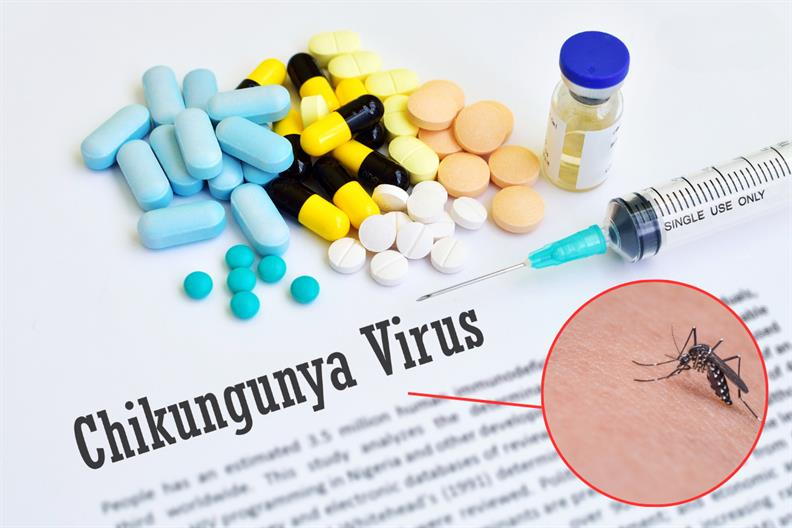 Cập nhật dịch Chikungunya – Tình hình toàn cầu và Việt Nam