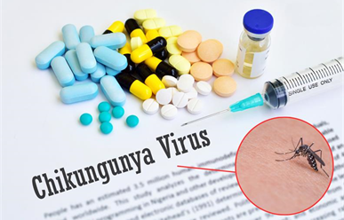 Cập nhật dịch Chikungunya – Tình hình toàn cầu và Việt Nam