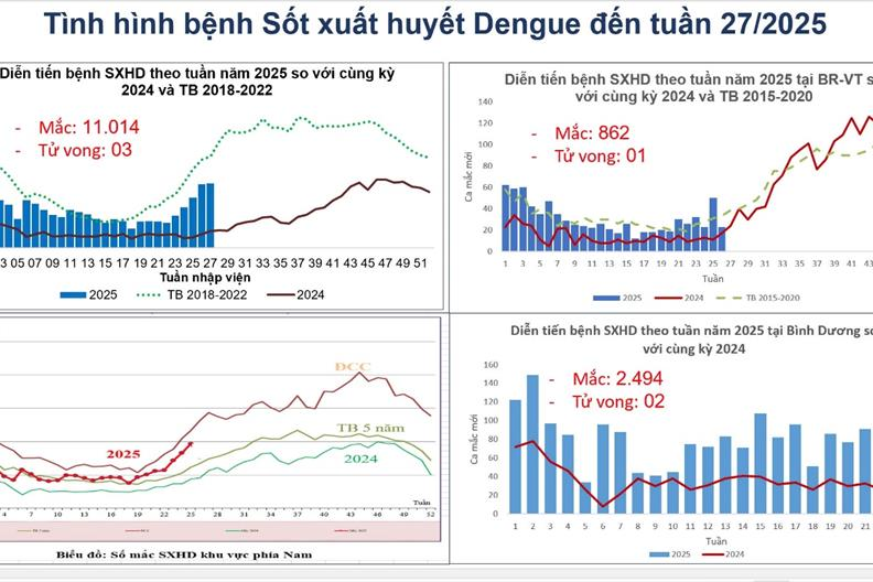 TP.HCM: Số ca sốt xuất huyết tăng mạnh, cảnh báo nguy cơ bùng phát dịch trong mùa mưa