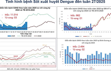 TP.HCM: Số ca sốt xuất huyết tăng mạnh, cảnh báo nguy cơ bùng phát dịch trong mùa mưa