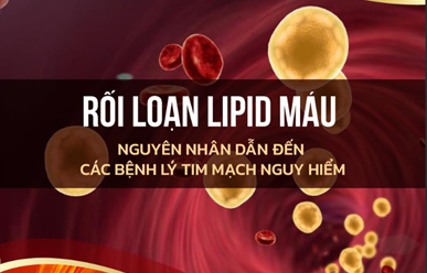 Rối loạn Lipid máu: Bản chất, nguy cơ và hướng xử trí ban đầu