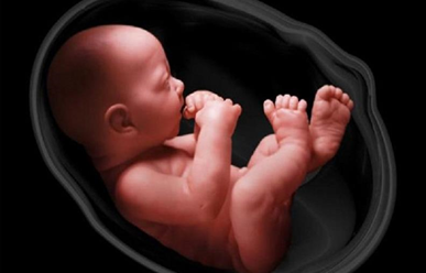 Những thay đổi của thể tích nước ối trong thai kỳ